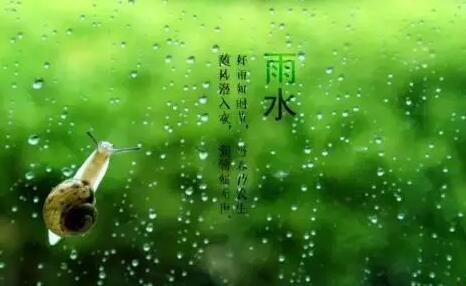 雨水